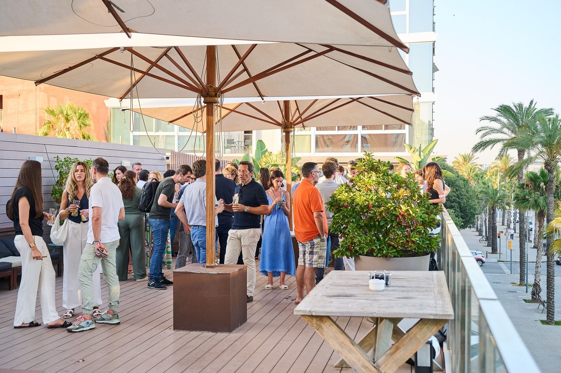 Aticco Colon - Photo 3