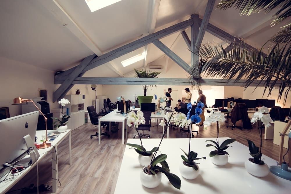 Atome Jungle - Photo 2