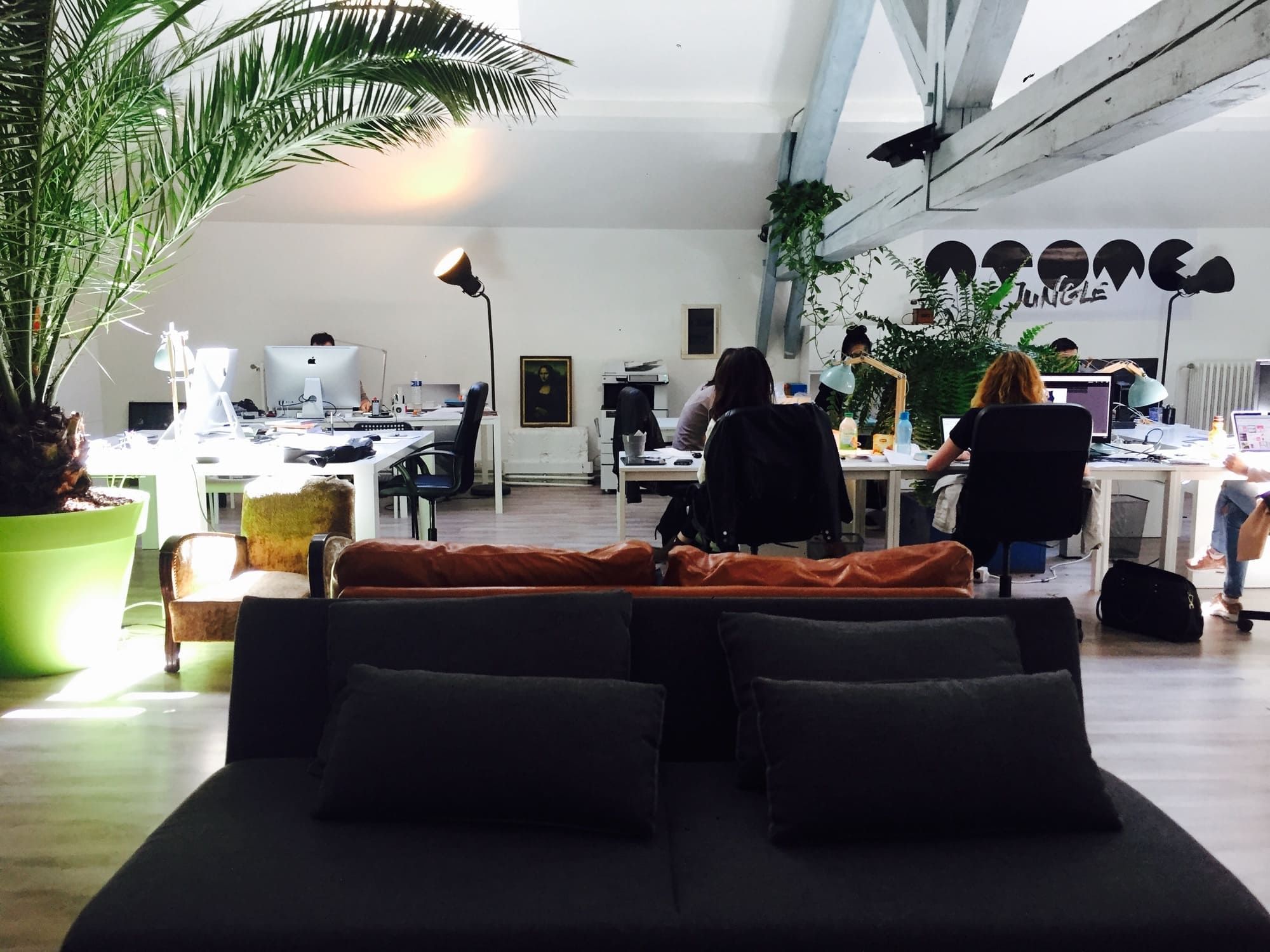 Atome Jungle - Photo 3