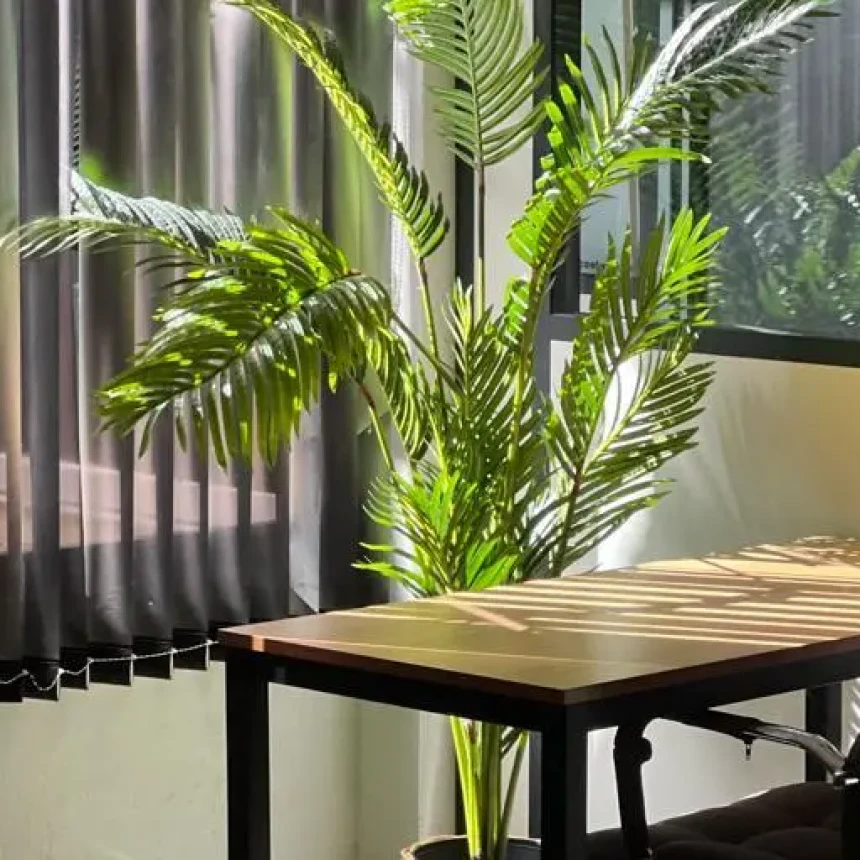 Bureau privé - Alpes-Maritimes Avenue Bel Air