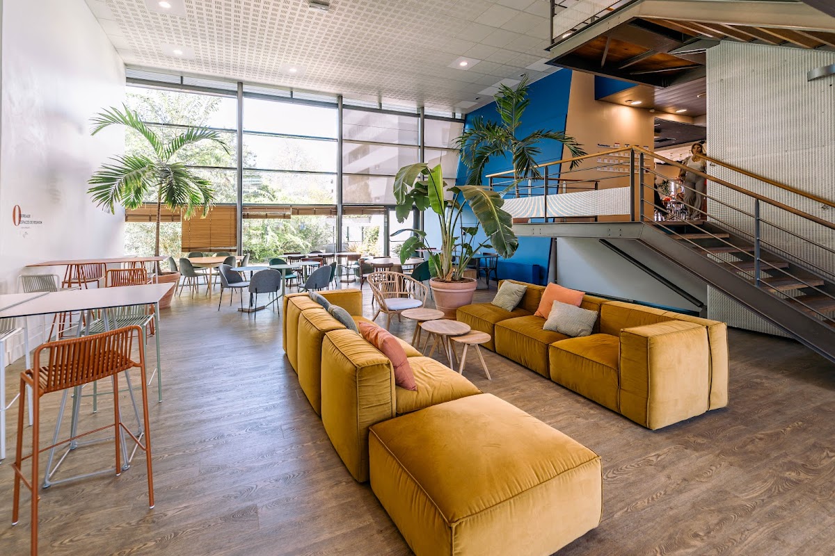 Bureau privé - Bordeaux Avenue Emile Counord - Photo 5