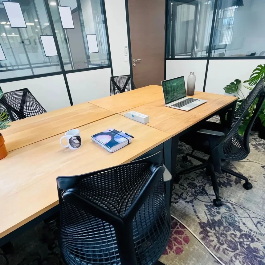 Bureau privé - Bordeaux Cours Aristide Briand