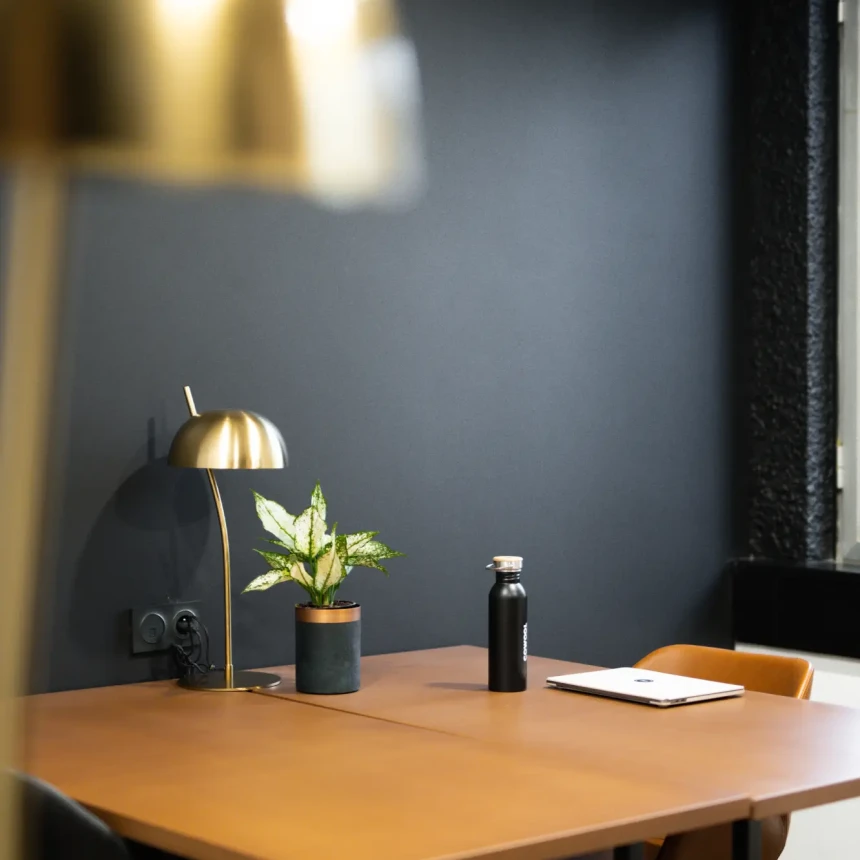 Bureau privé - Grenoble Avenue d'Innsbruck - Photo 4