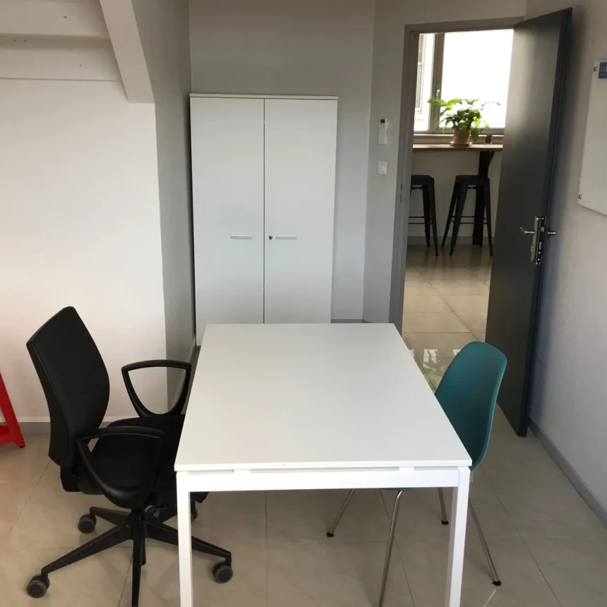 Bureau privé - Lyon Avenue Joannes Masset