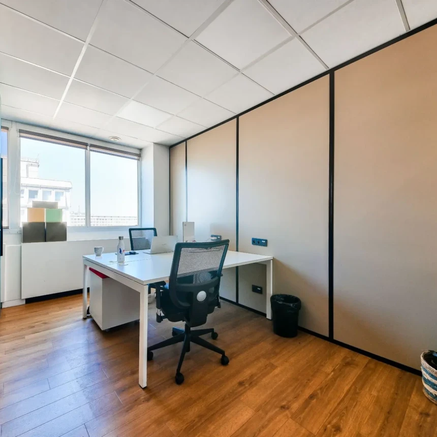 Bureau privé - Lyon Boulevard Eugène Deruelle