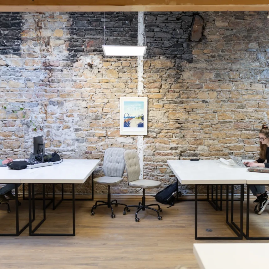 Bureau privé - Lyon Place Dumas de Loire