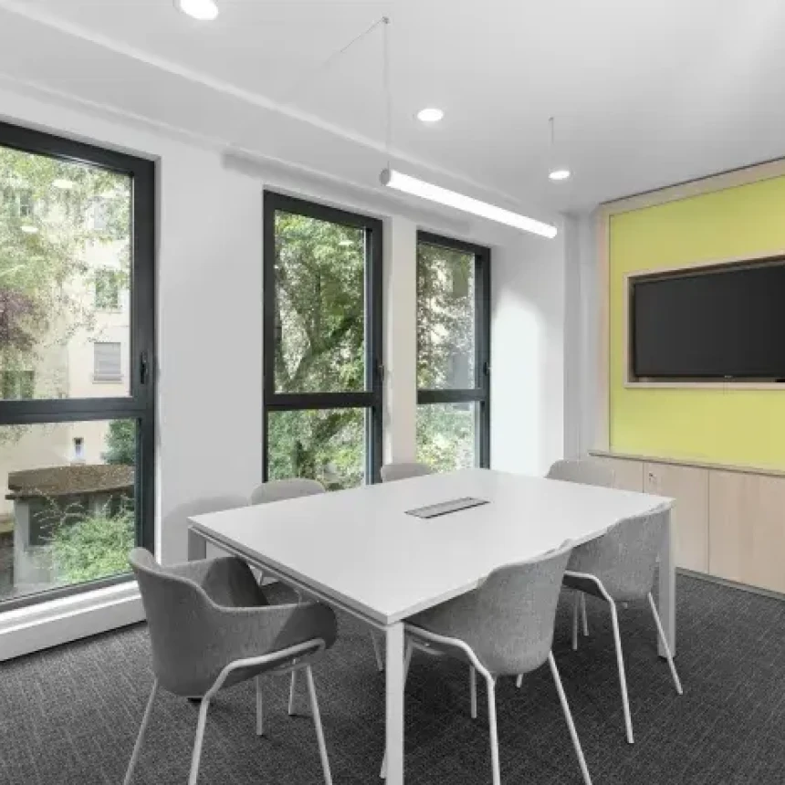 Bureau privé - Lyon Rue Bossuet