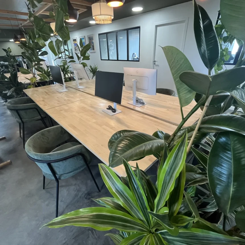 Bureau privé - Toulouse Impasse Edmond Audran - Photo 2