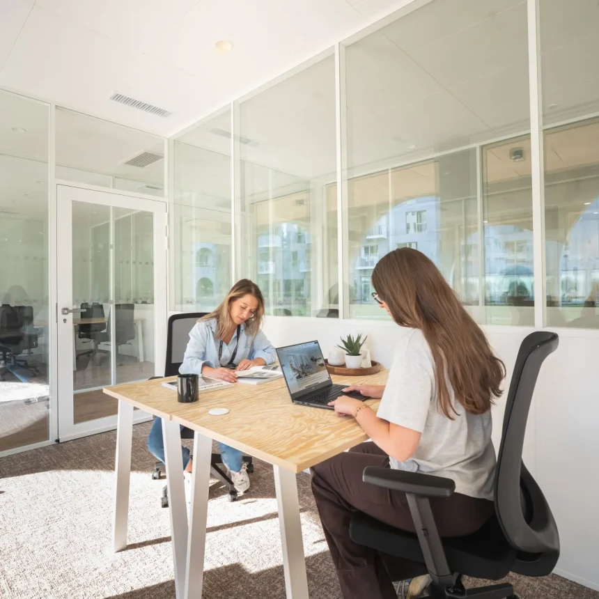 Bureau privé - Villeneuve-d'Ascq Rue Denis Papin