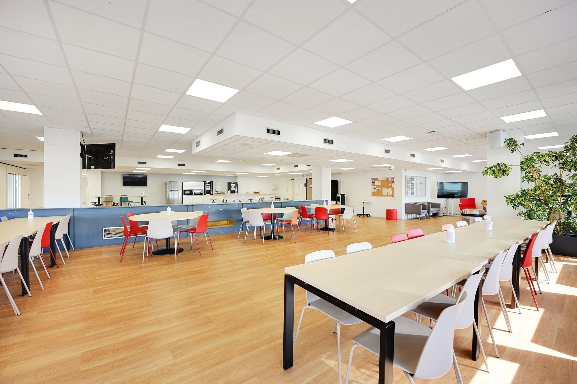 Bureaux de la Colline - Photo 2