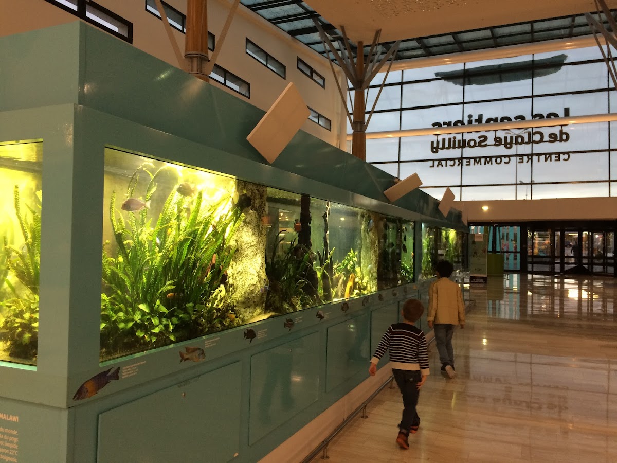 Columbus Café - Claye-Souilly, Centre commercial Shopping Promenade