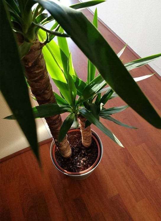 Coworking Pays Basque Bayonne - Photo 2