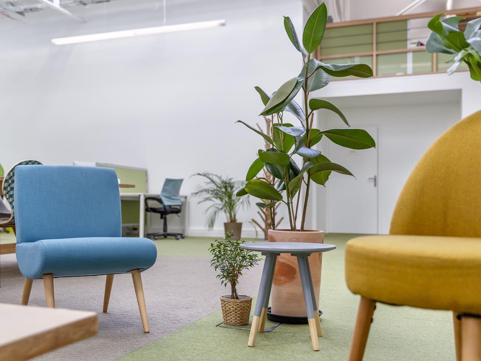 Green Space - Photo 2