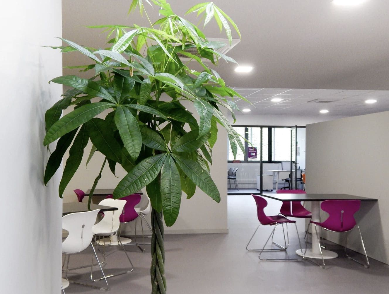 HABIA Coworking - Photo 2