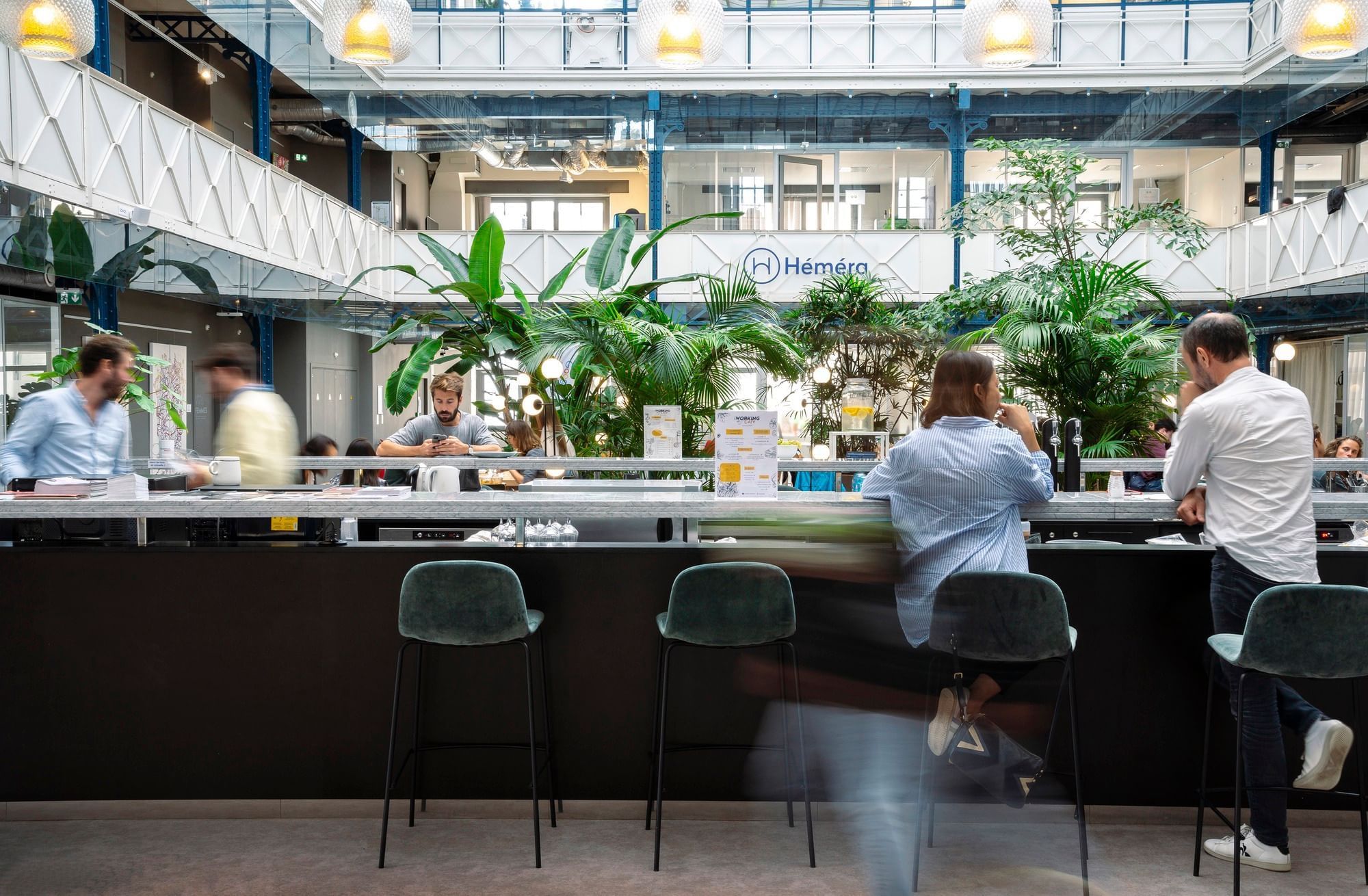 Halle Héméra - Photo 3