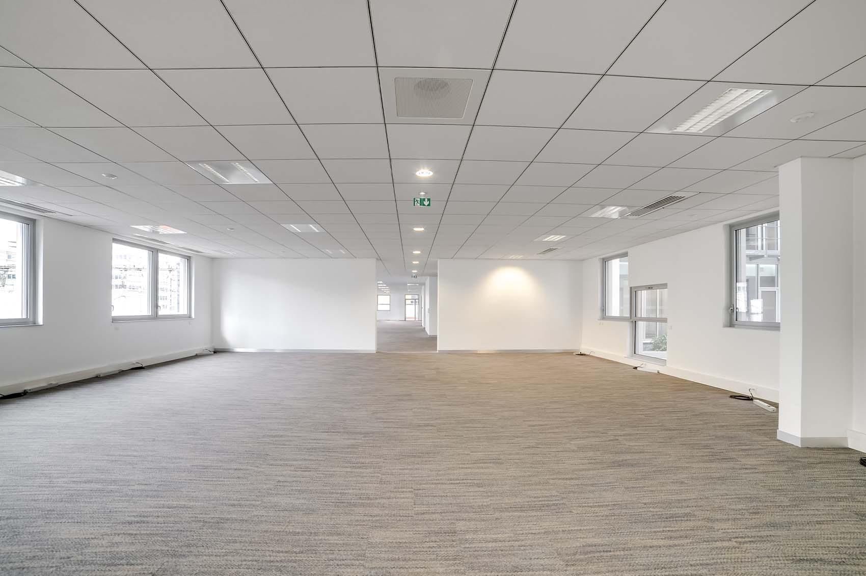 Hiptown Lyon Equinox