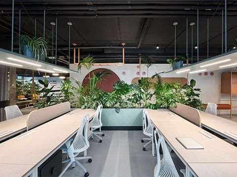 Jingle in the Jungle