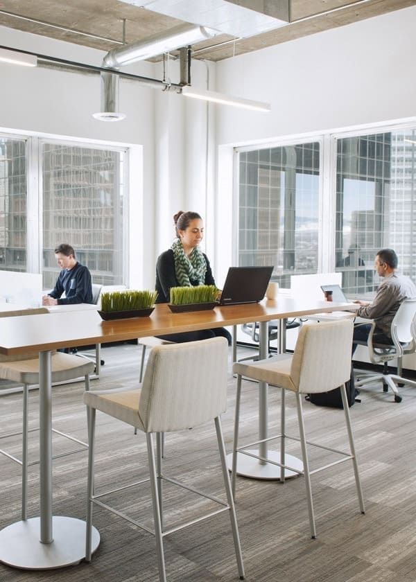 Jingle in the Jungle - Photo 2