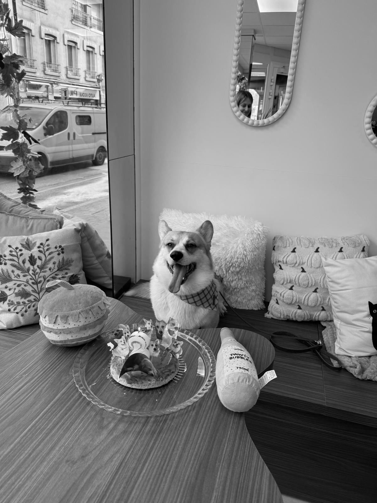 K-NIN Concept Store FR - Photo 2