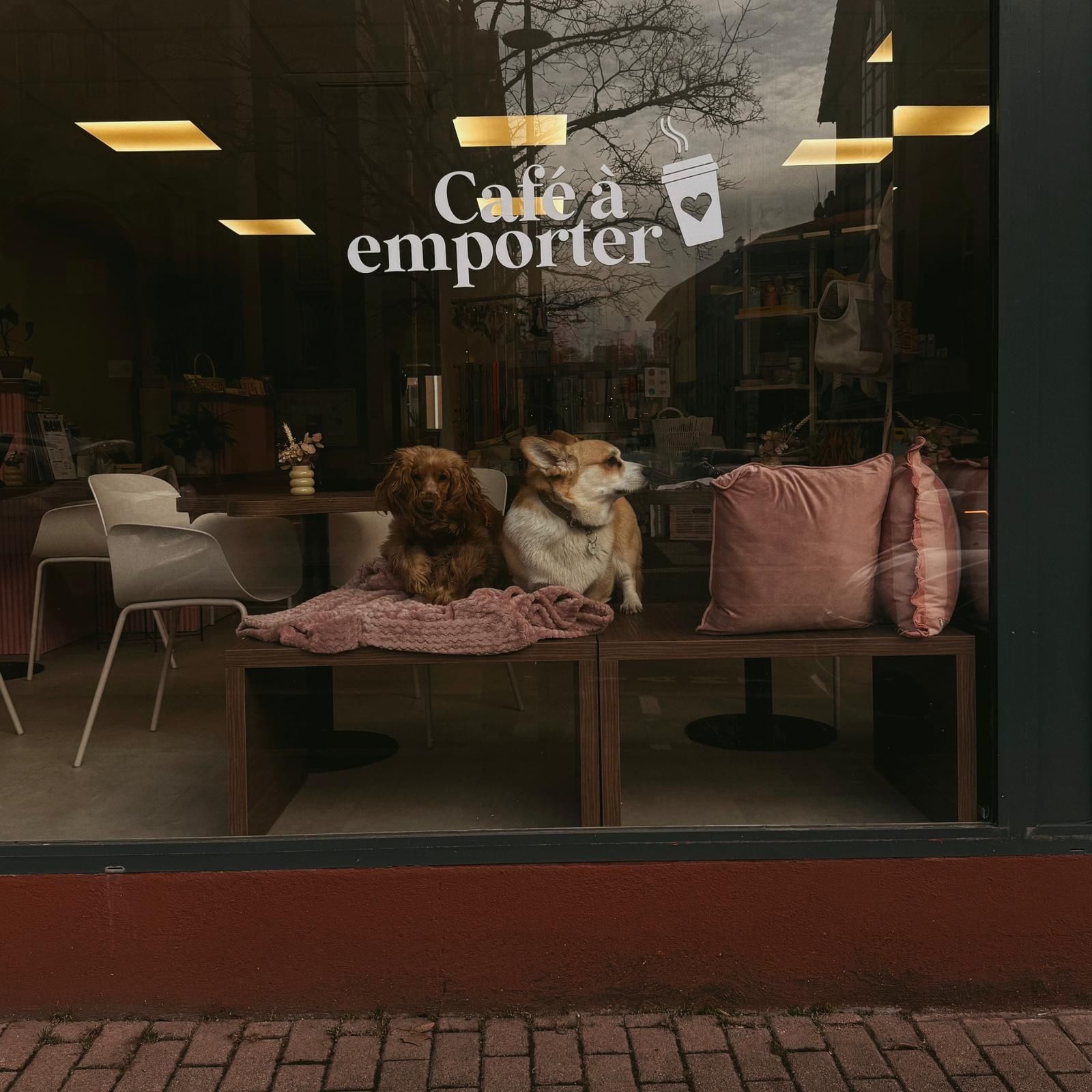 K-NIN Concept Store FR