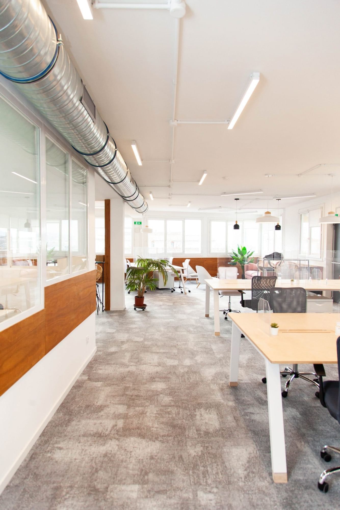 L'Équateur - Photo 3