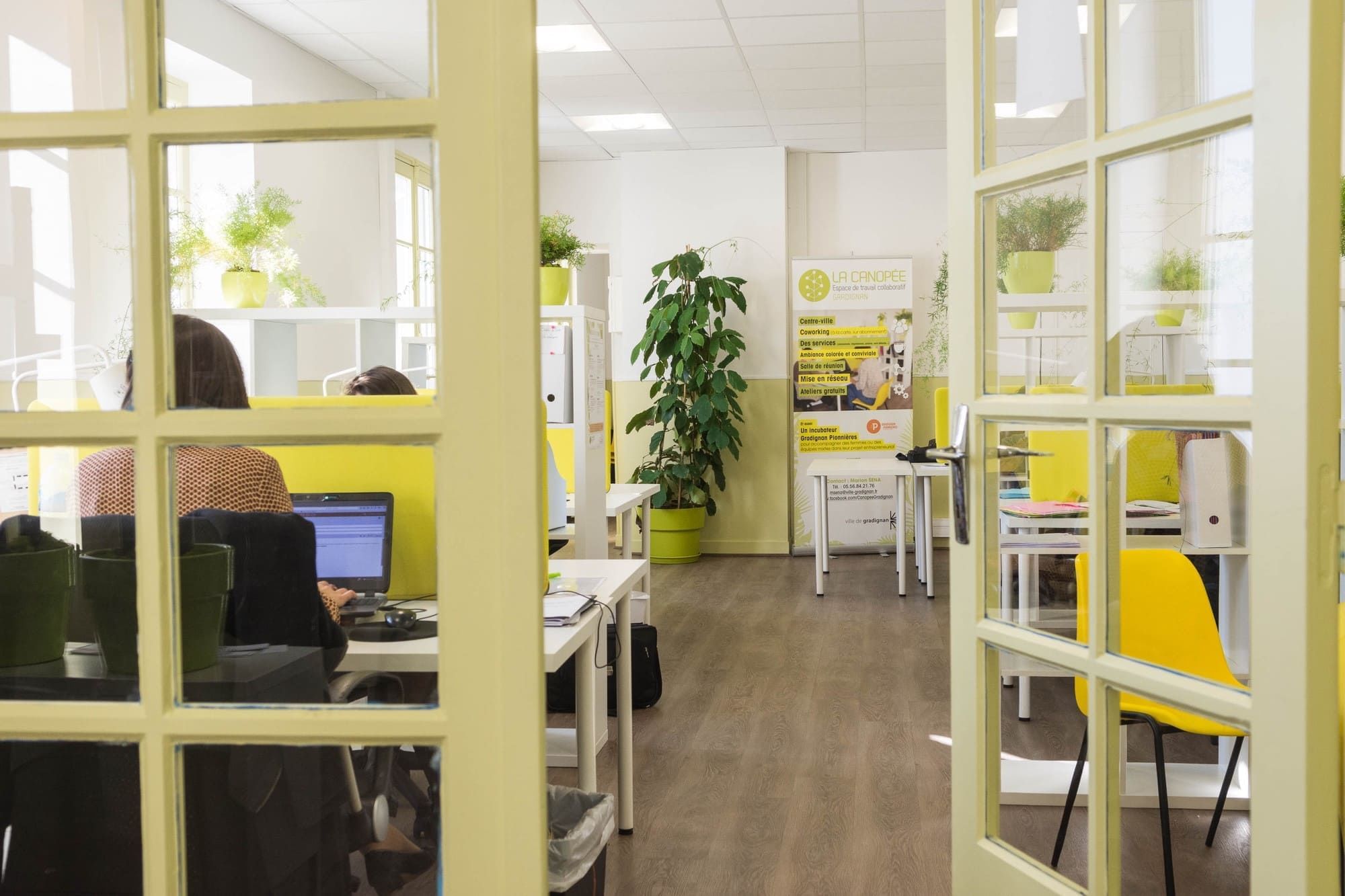 La Canopée - Photo 2