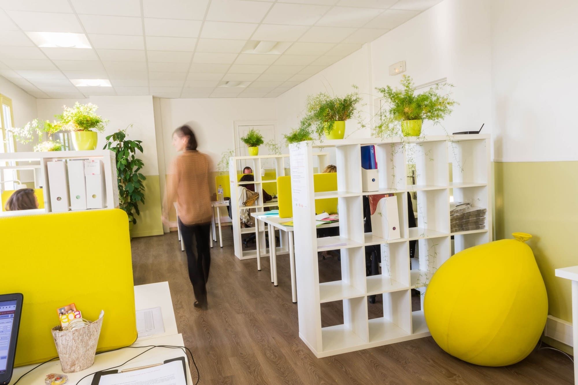 La Canopée - Photo 3