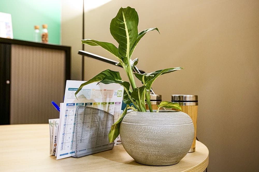 La Jardinerie - Photo 3