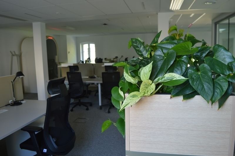 La Maison du développement durable by PMRF - Photo 3