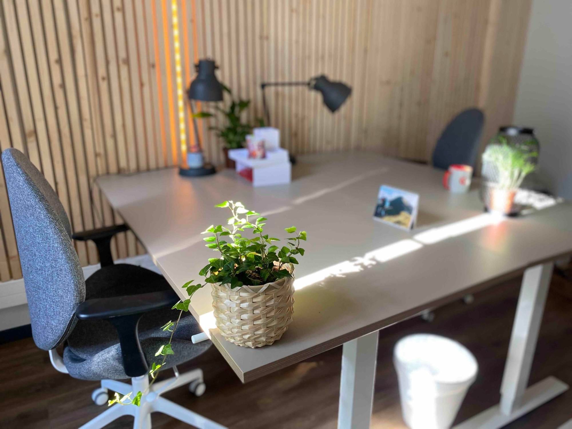 La Maison Napoléon - Photo 2