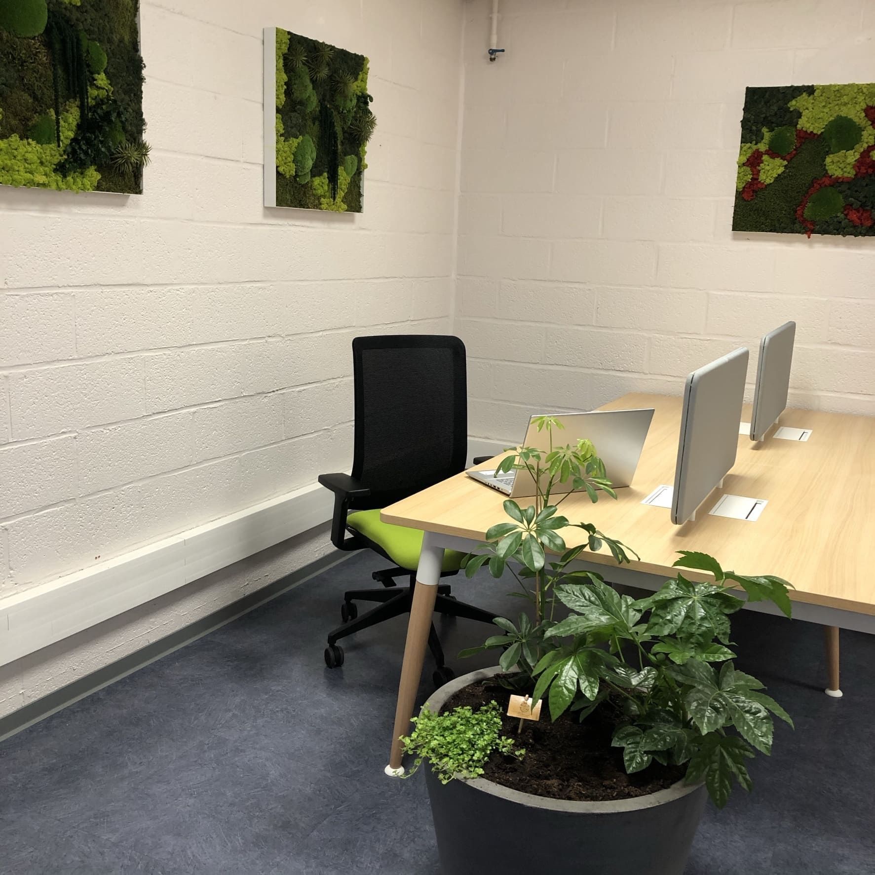 La Ruche Denain - Photo 3