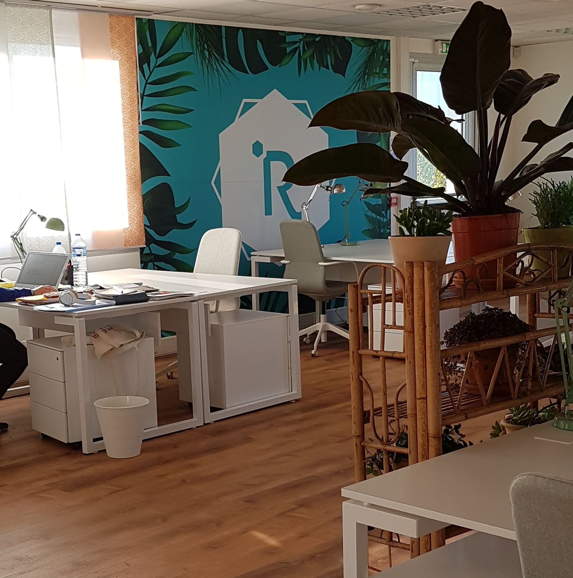 La Ruche Saint Germain en laye - Photo 2