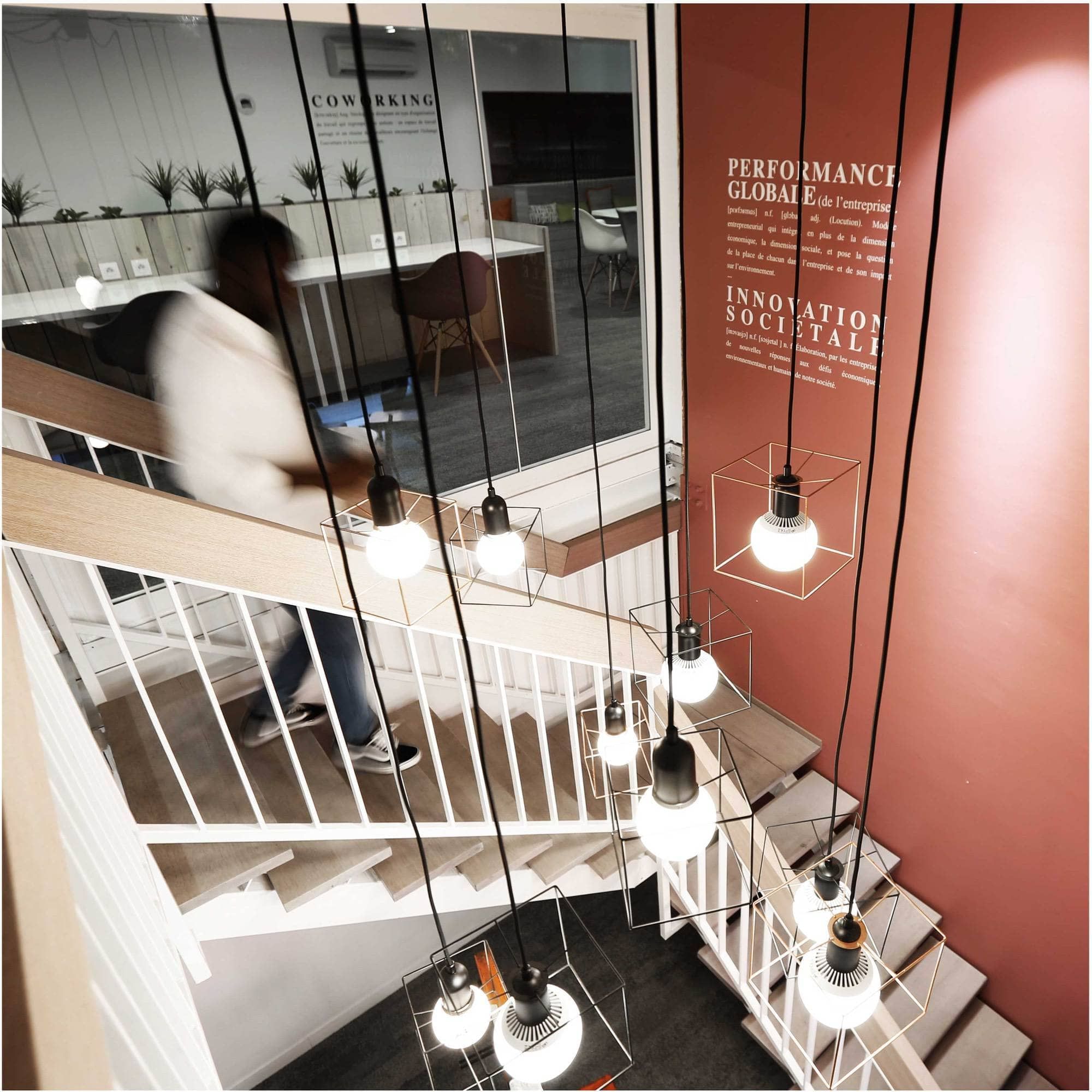 Lab'Oïkos Lille - Photo 2