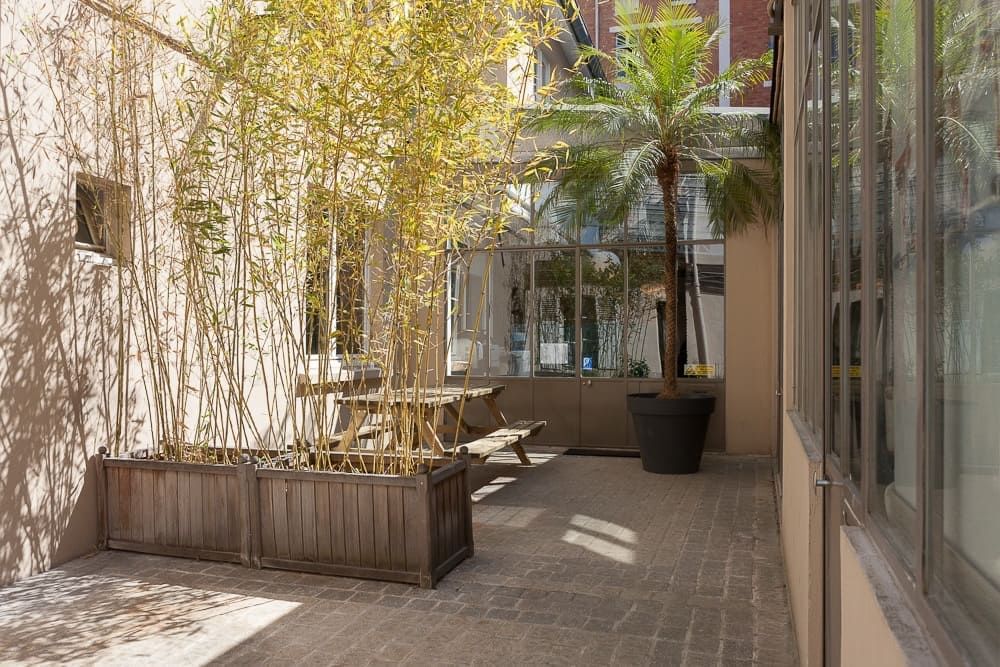 Le Gymnase du Jardin des Plantes - Photo 2