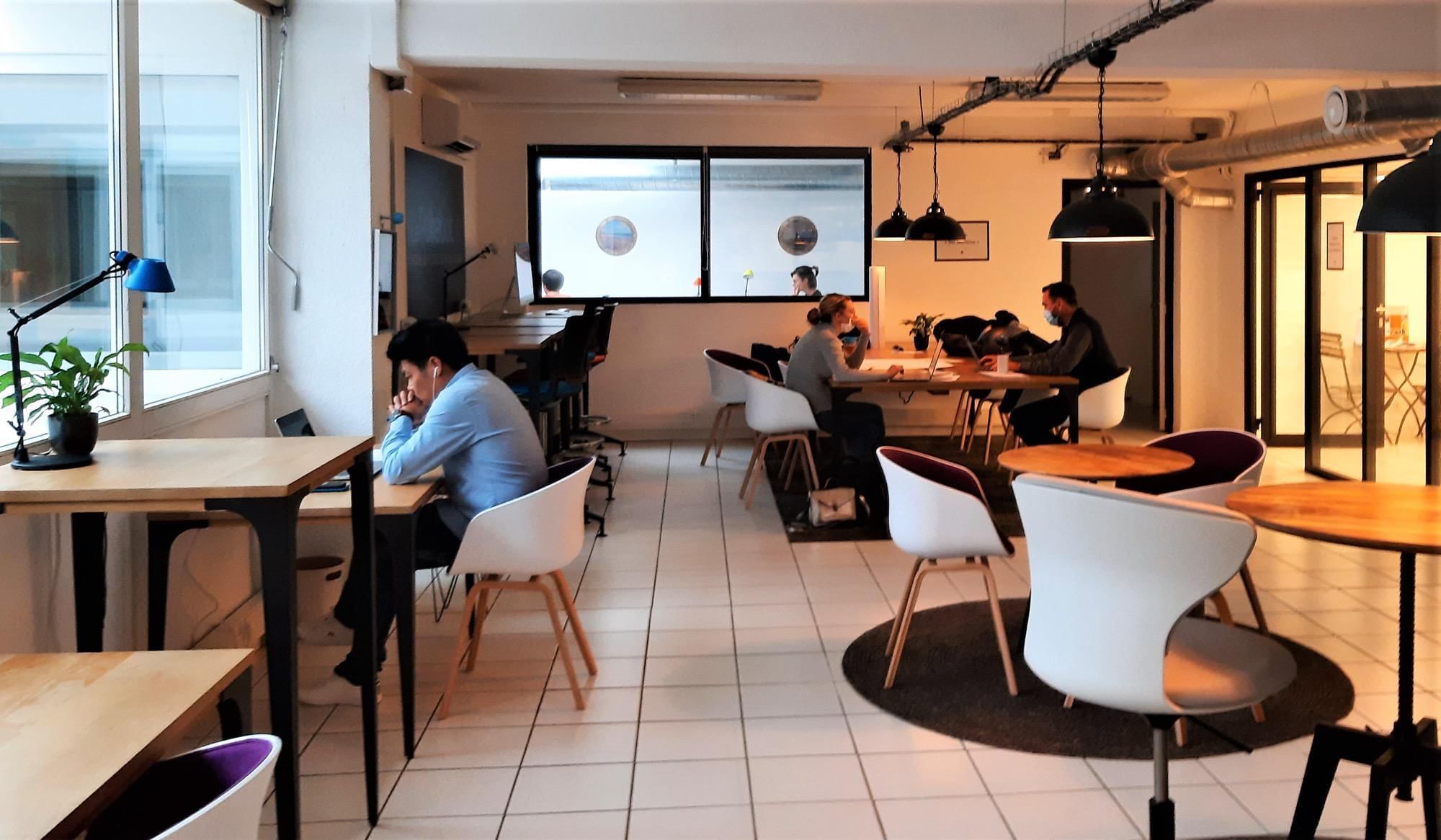 Le Pakebot - Photo 2