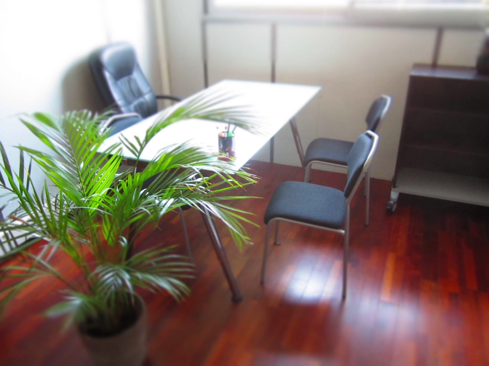 Les Bureaux Du Littoral - Photo 2