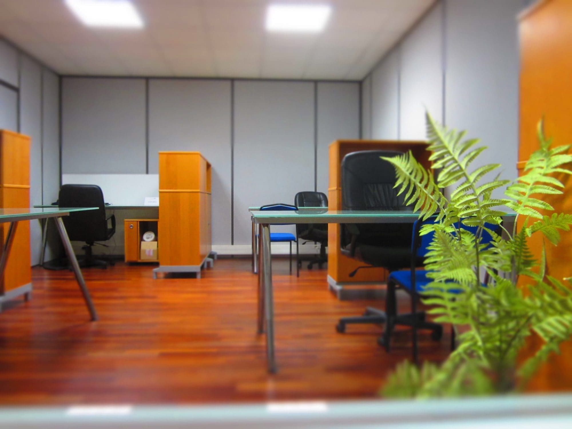 Les Bureaux Du Littoral - Photo 3