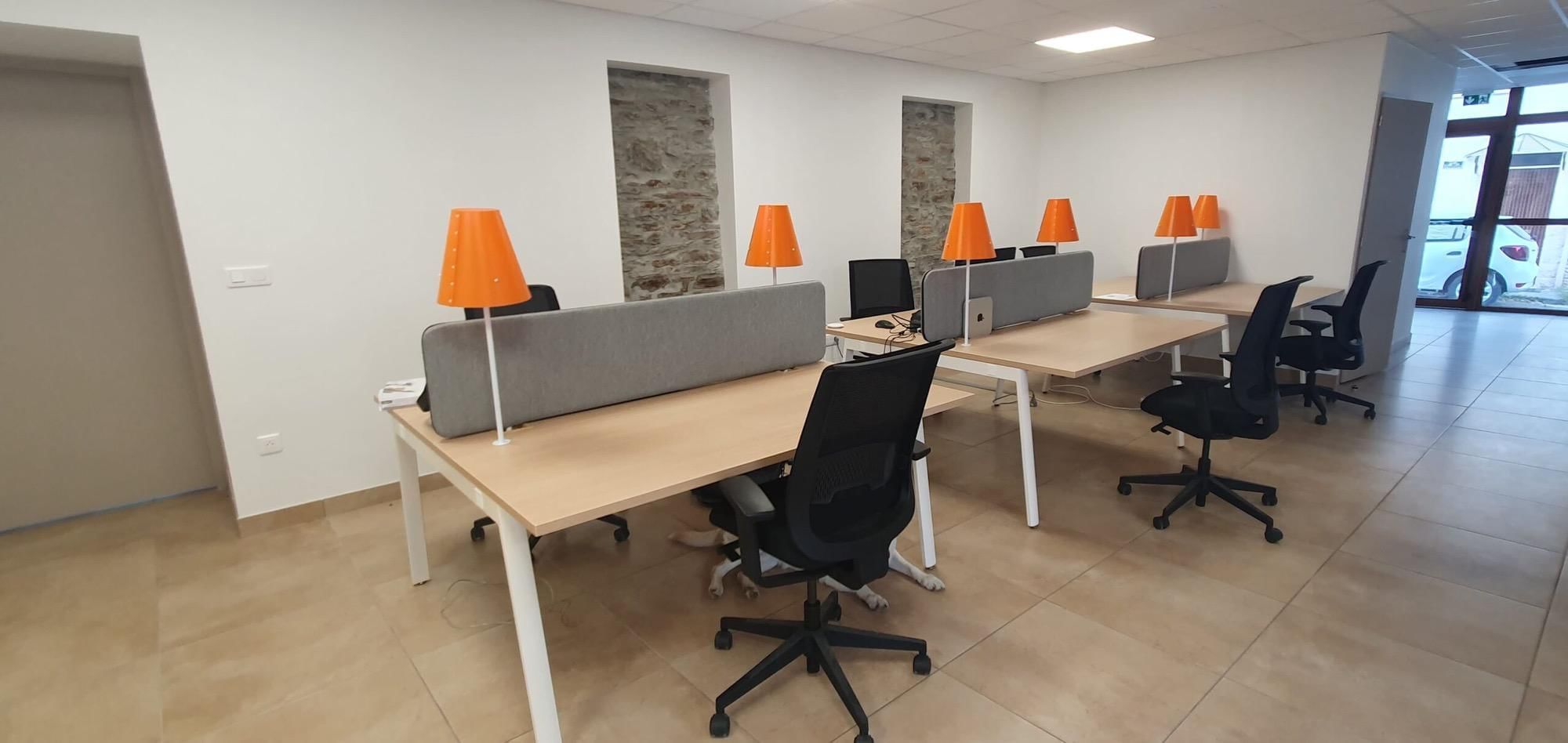 Maison de la Lionne - Photo 2