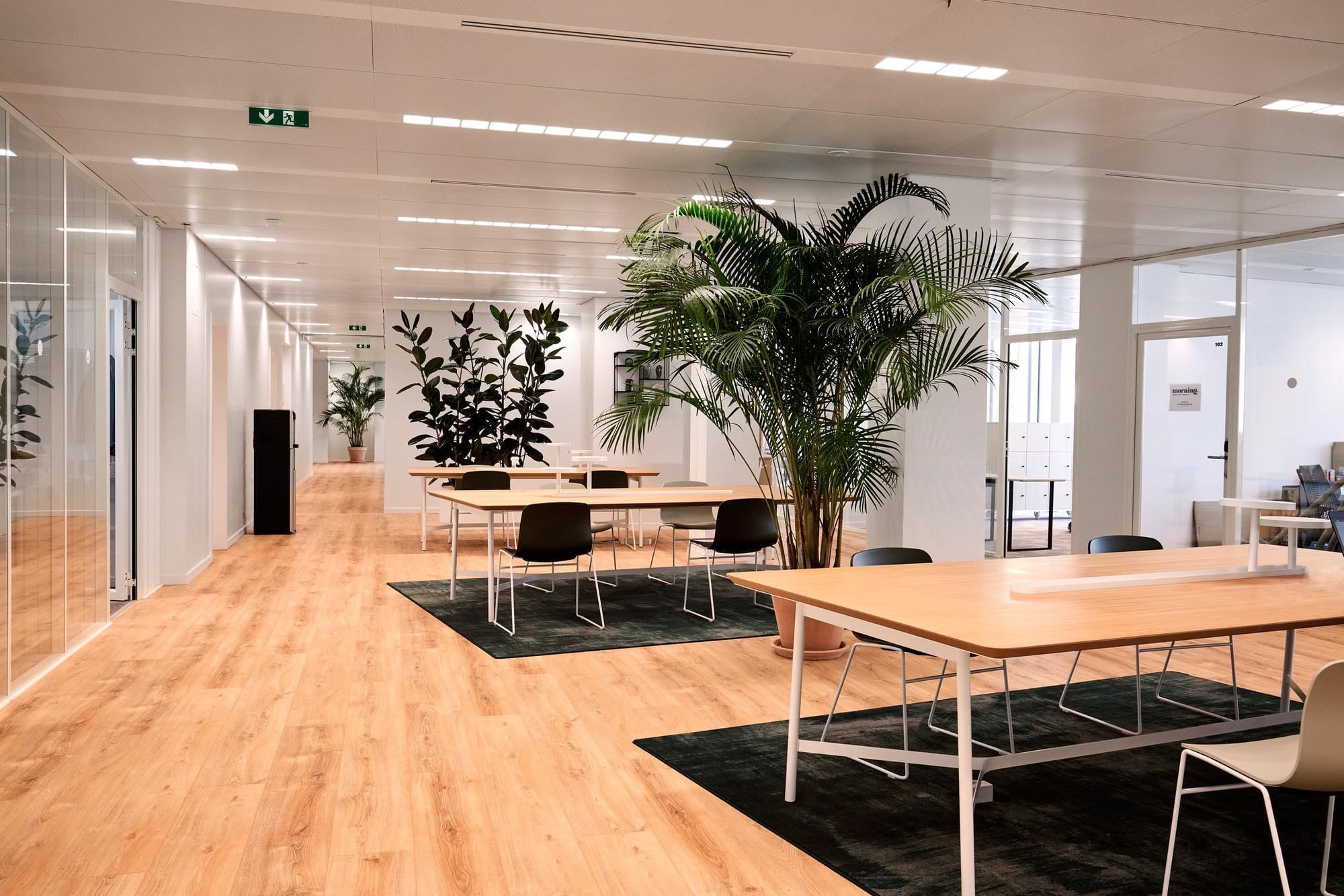 Morning Balard - Photo 3