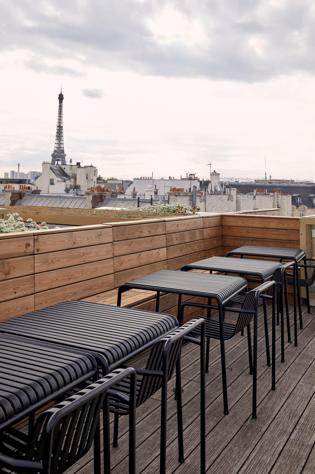 Morning Bayard - Photo 2