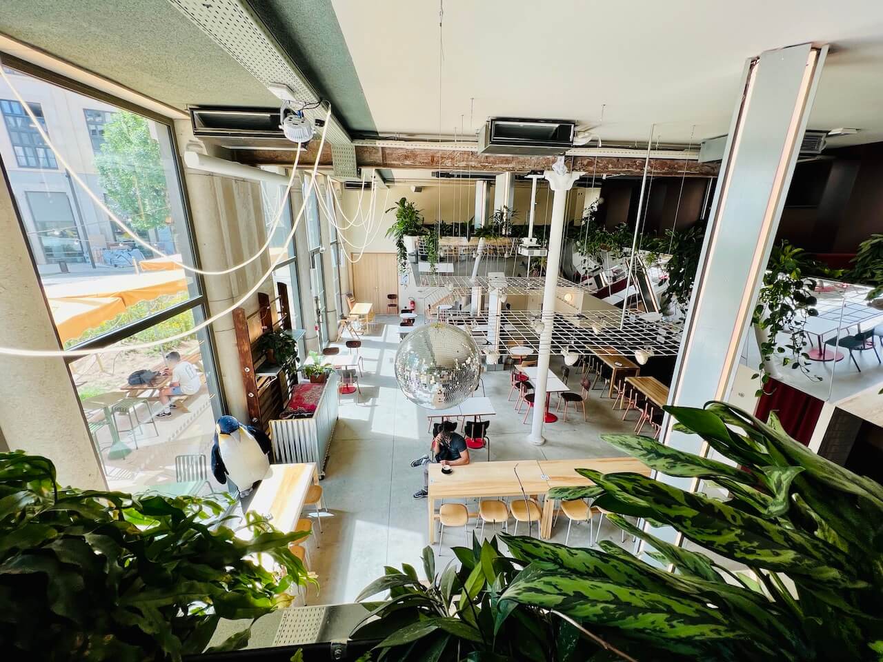 Mowgli Café (fermé définitivement) - Photo 4