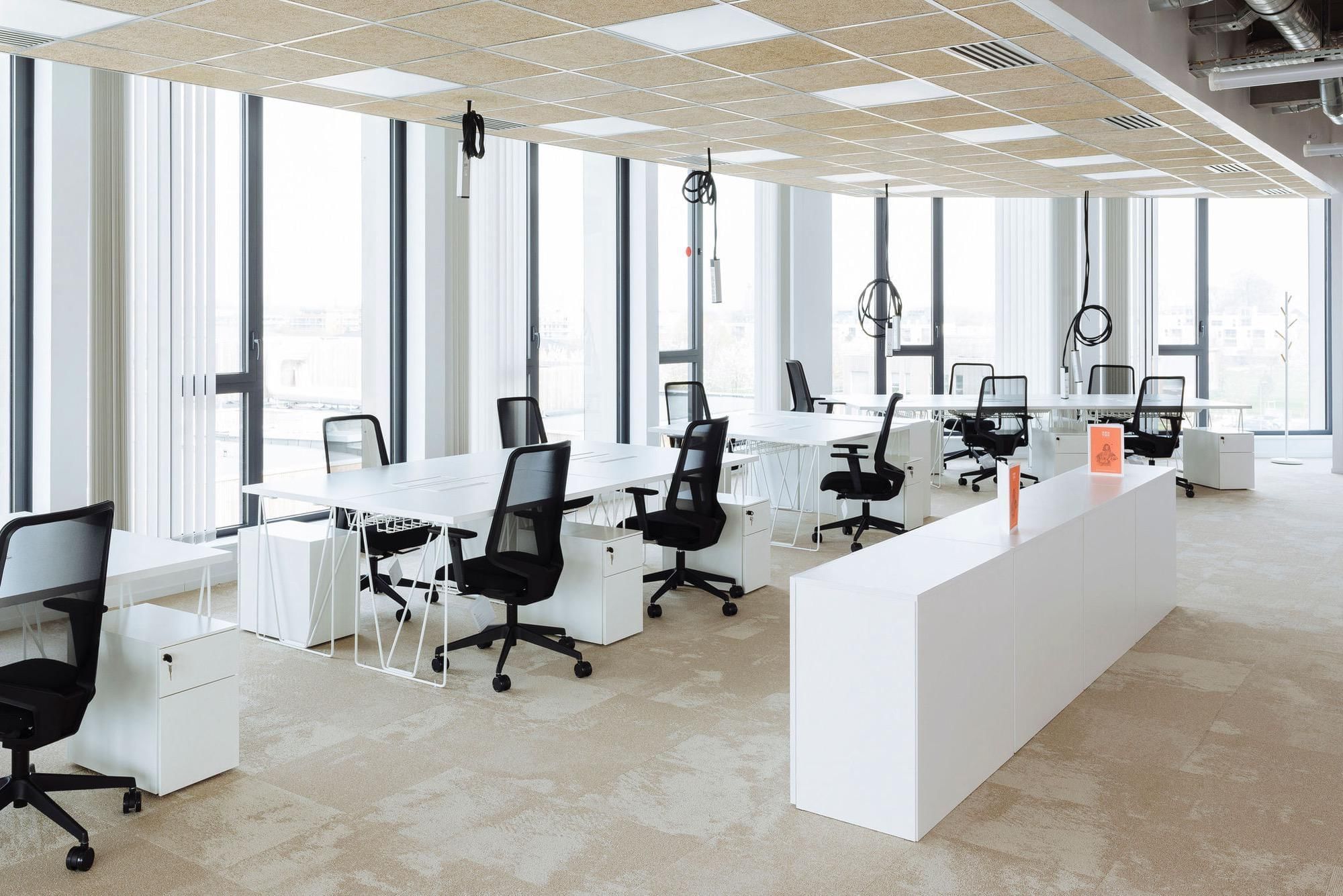 Newton Offices Haute Borne