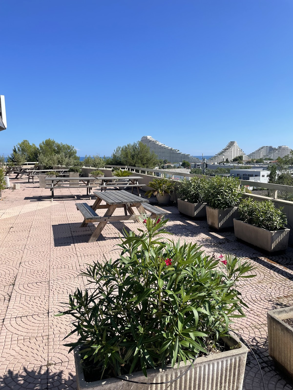 Open Space - Alpes-Maritimes Avenue Bel Air - Photo 3