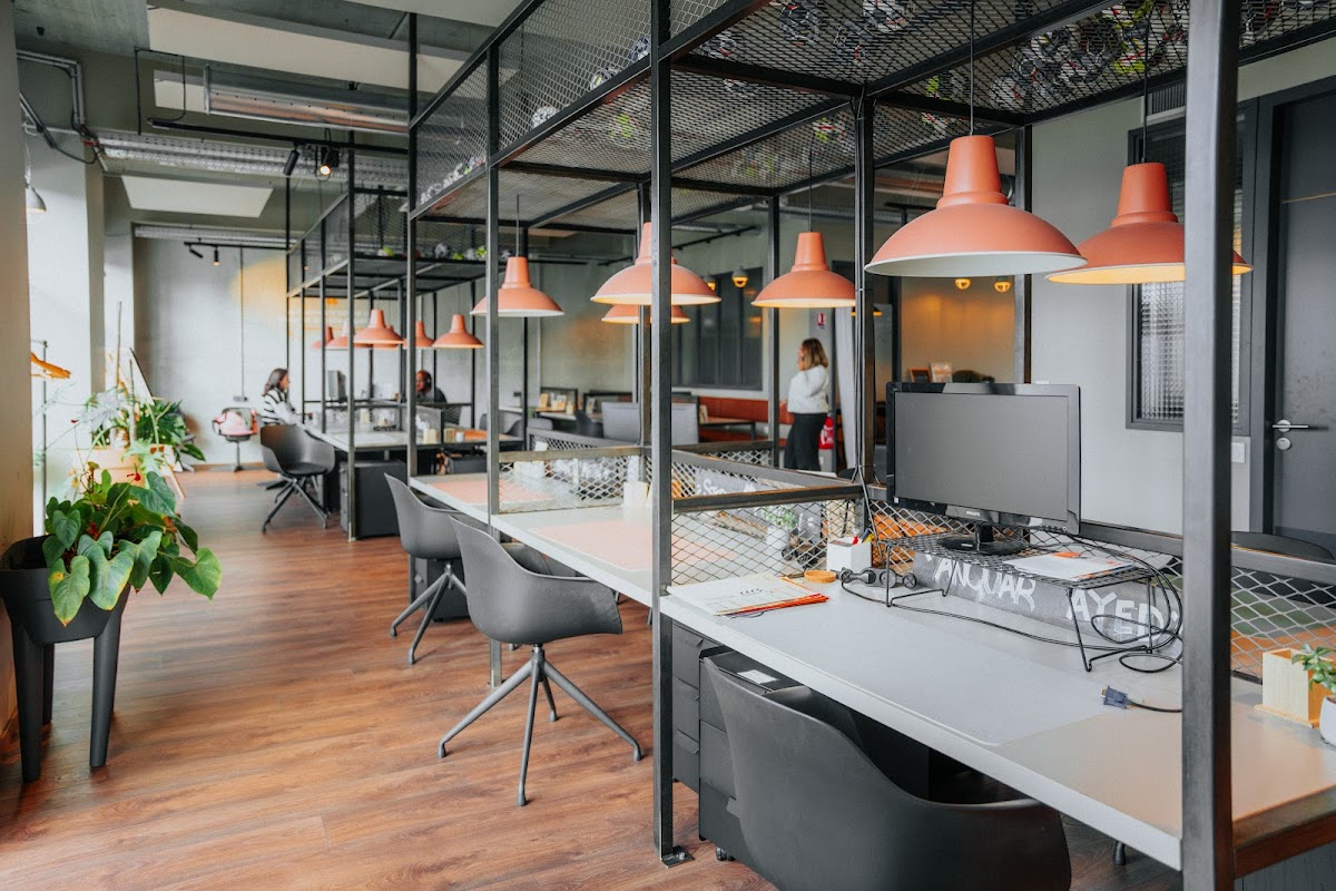 Open Space - Blagnac Boulevard Alain Savary - Photo 5