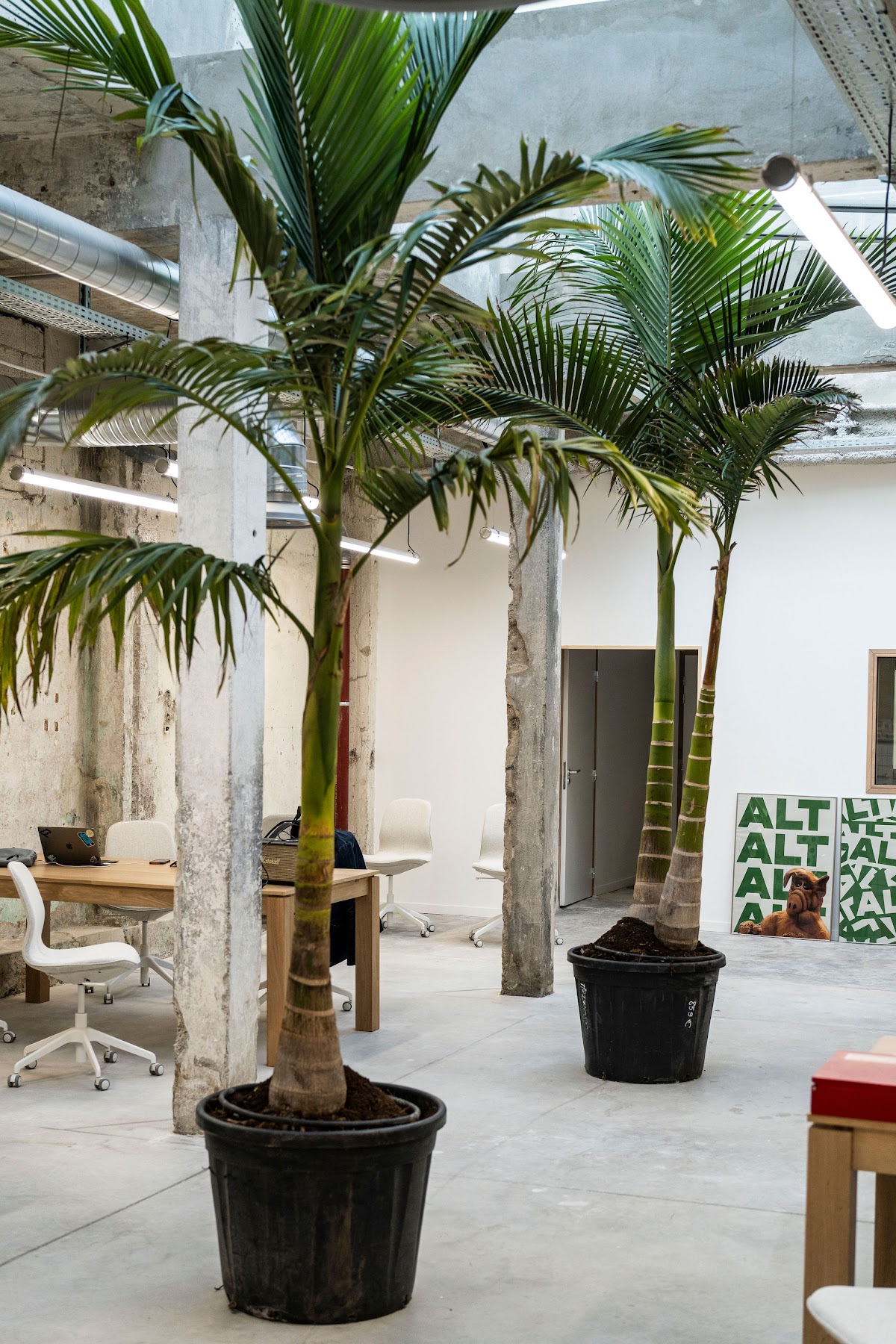 Open Space - Marseille Rue Marignan - Photo 5