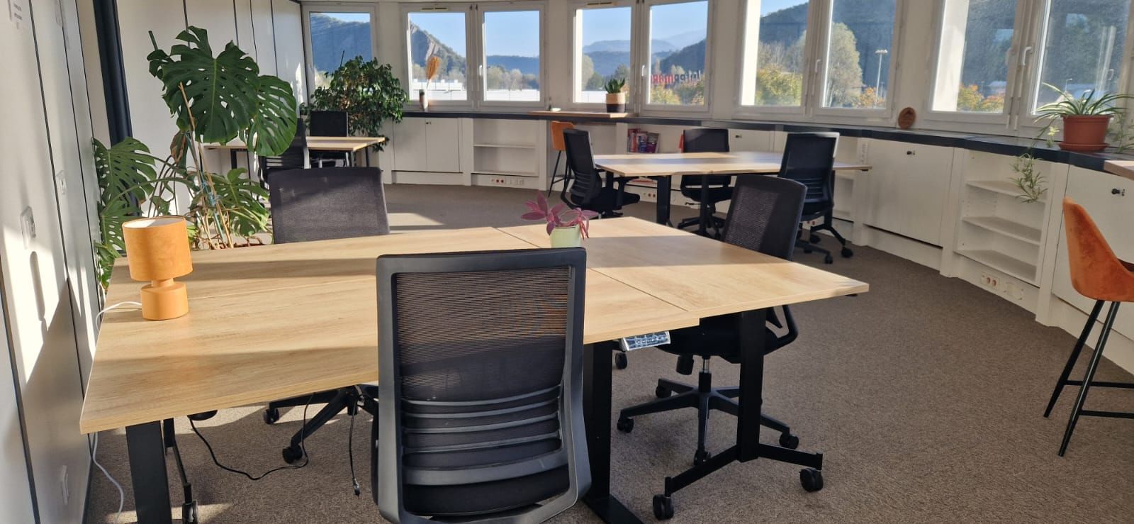 Pousse Locale - Photo 3