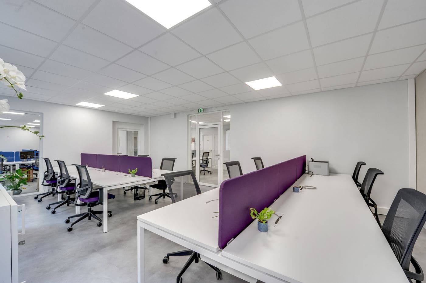 Primmoffice - Photo 3