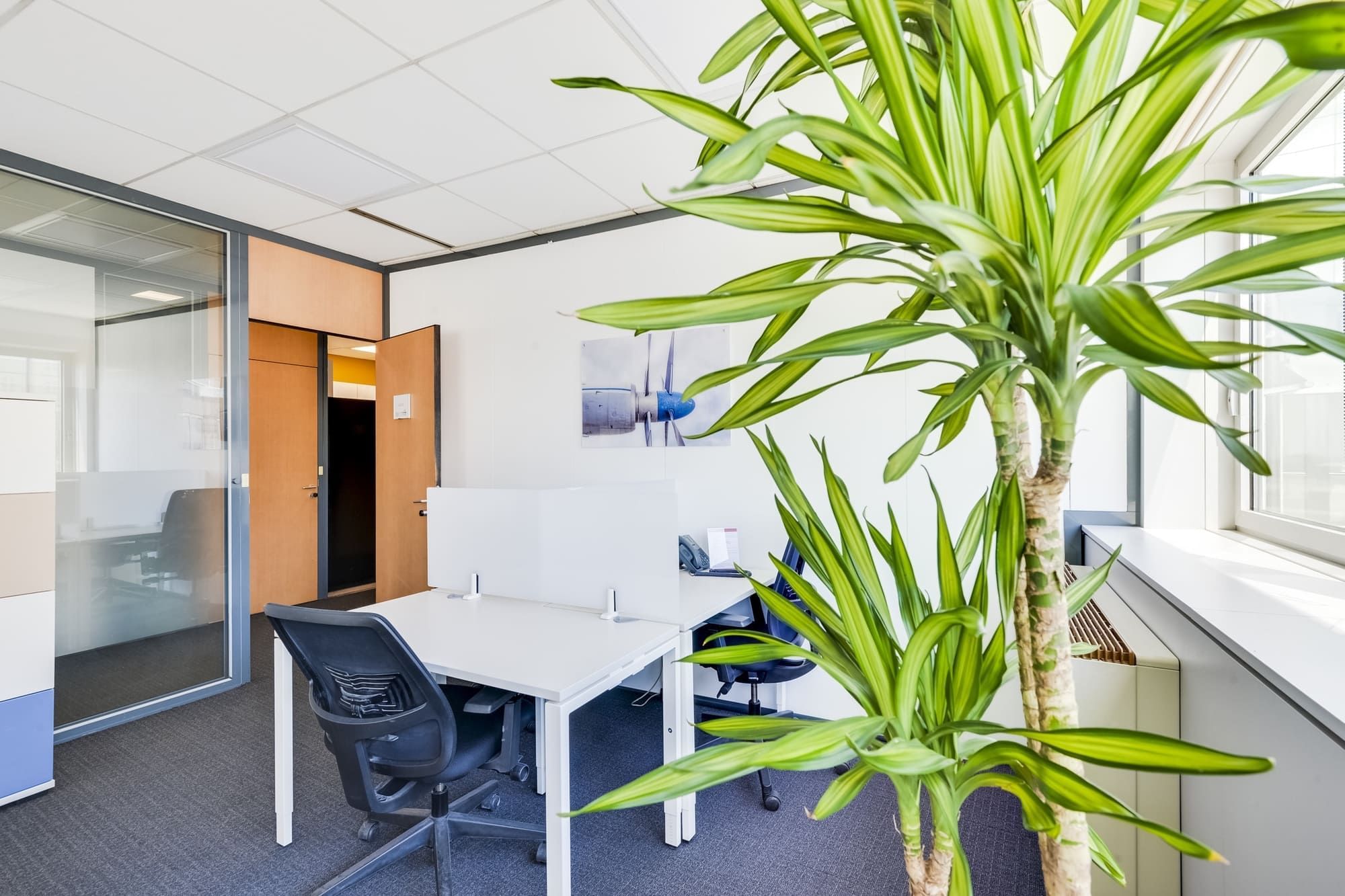 Regus Paris Roissy Aéroport