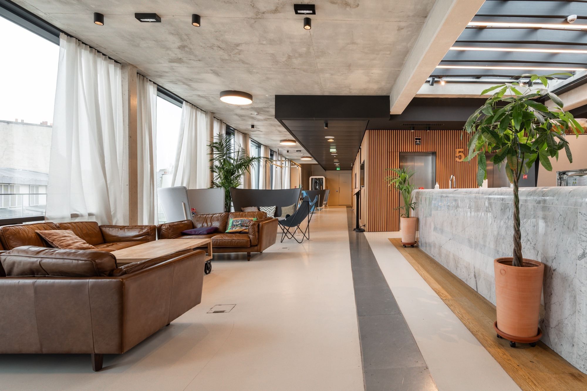 Sora Ainori - Photo 3