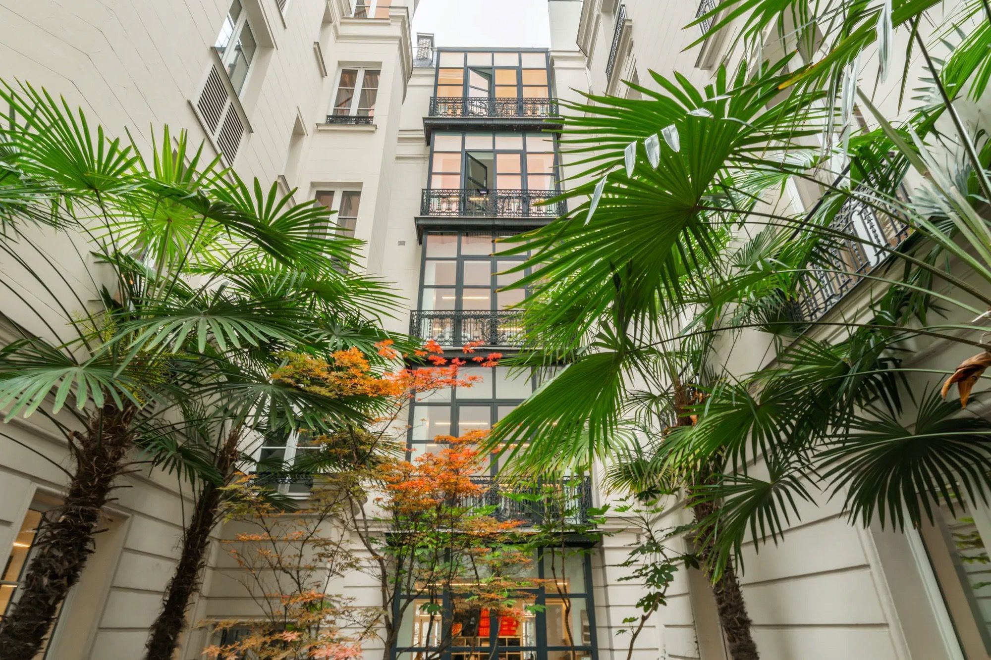 Sora Boétie - Photo 3